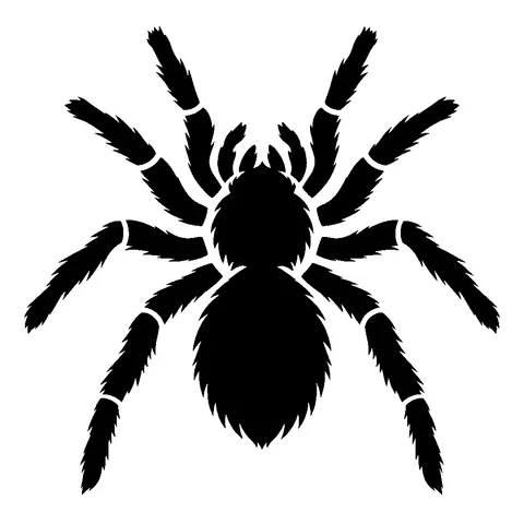 Big Spider pumpkin stencil, free printable spider carving template