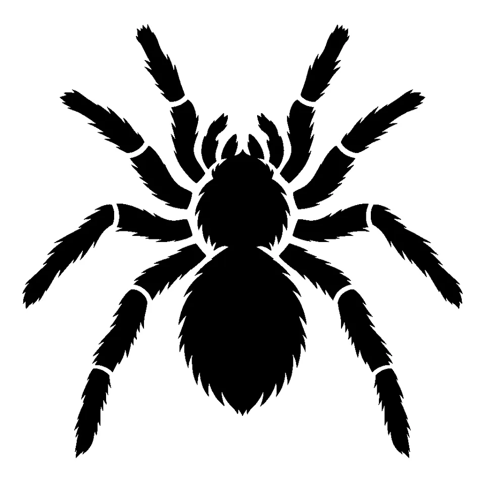 Big Spider pumpkin stencil, printable black and white spider template