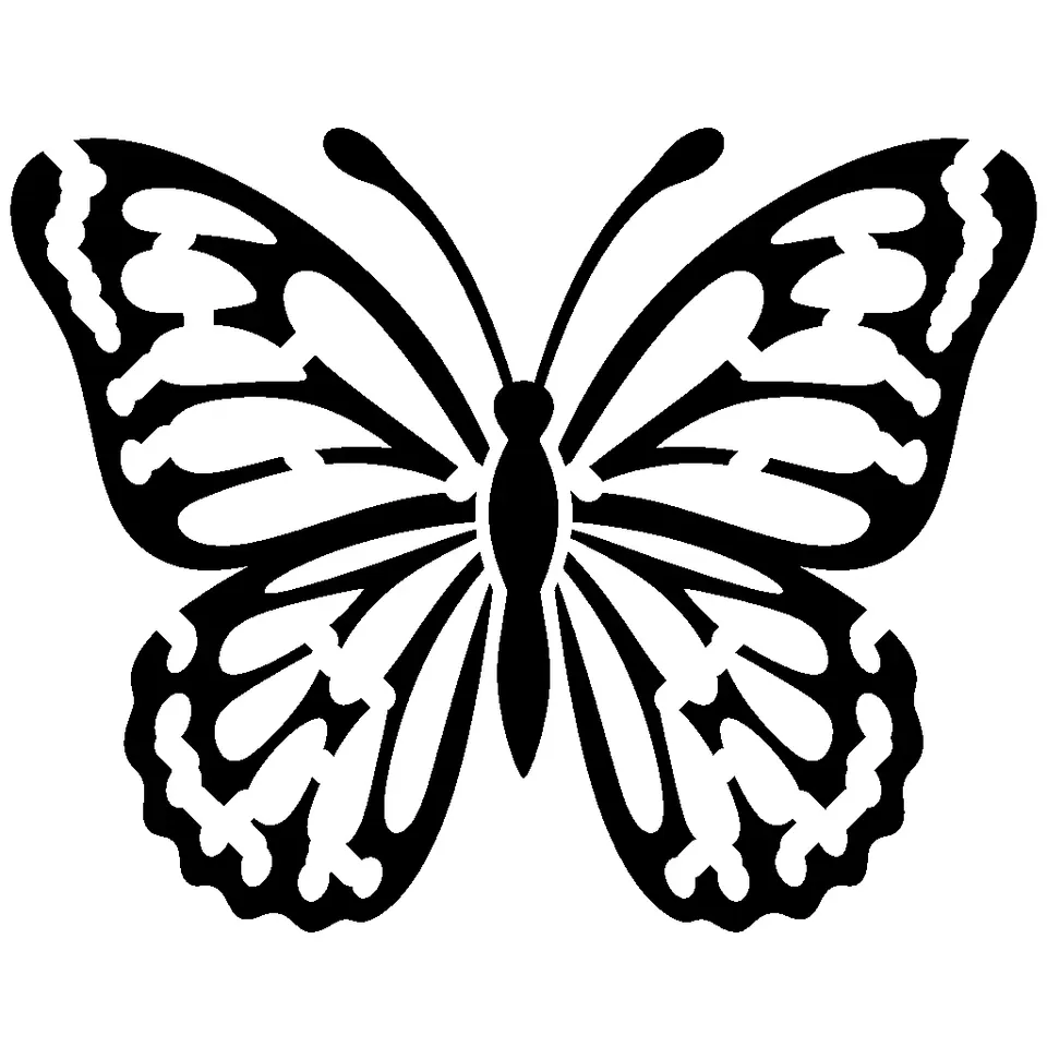 Butterfly pumpkin stencil, printable black and white animal template