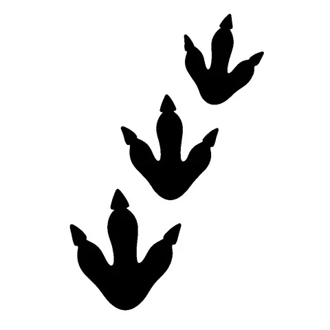 Dinosaur Footprints pumpkin stencil, free printable dinosaur carving template