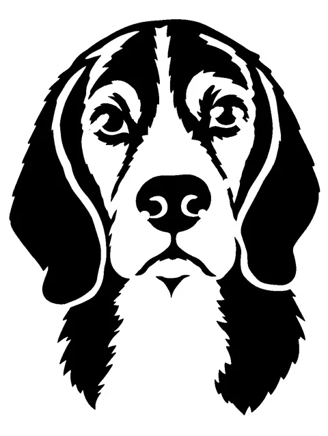 a Beagle pumpkin stencil made from the photo
