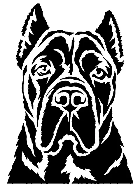 a Cane Corso pumpkin stencil made from the photo