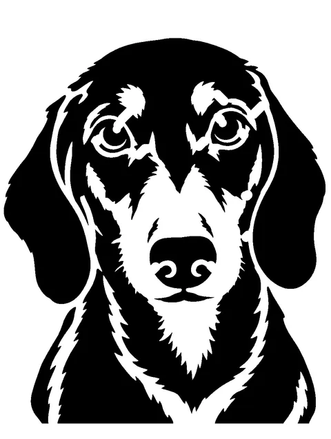 a Dachshund pumpkin stencil made from the photo