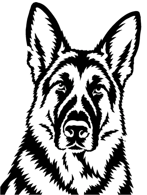 a German Shepherd pumpkin stencil made from the photo