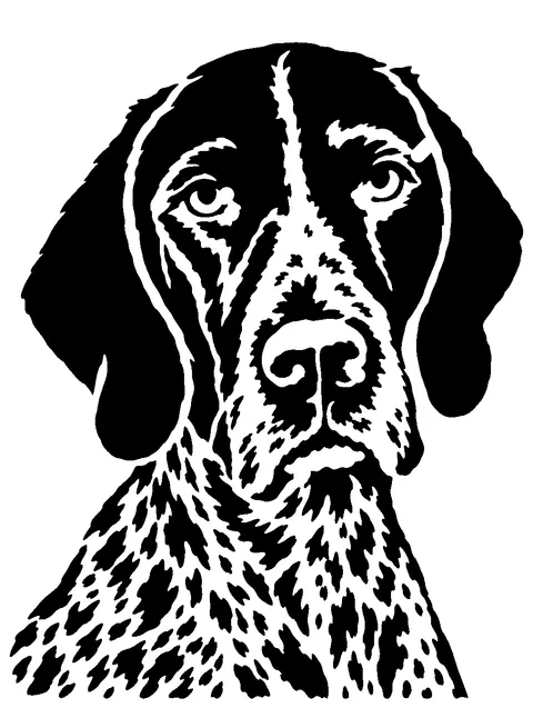 a German Shorthaired Pointer pumpkin stencil made from the photo