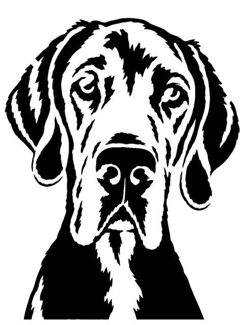 a Great Dane pumpkin stencil made from the photo