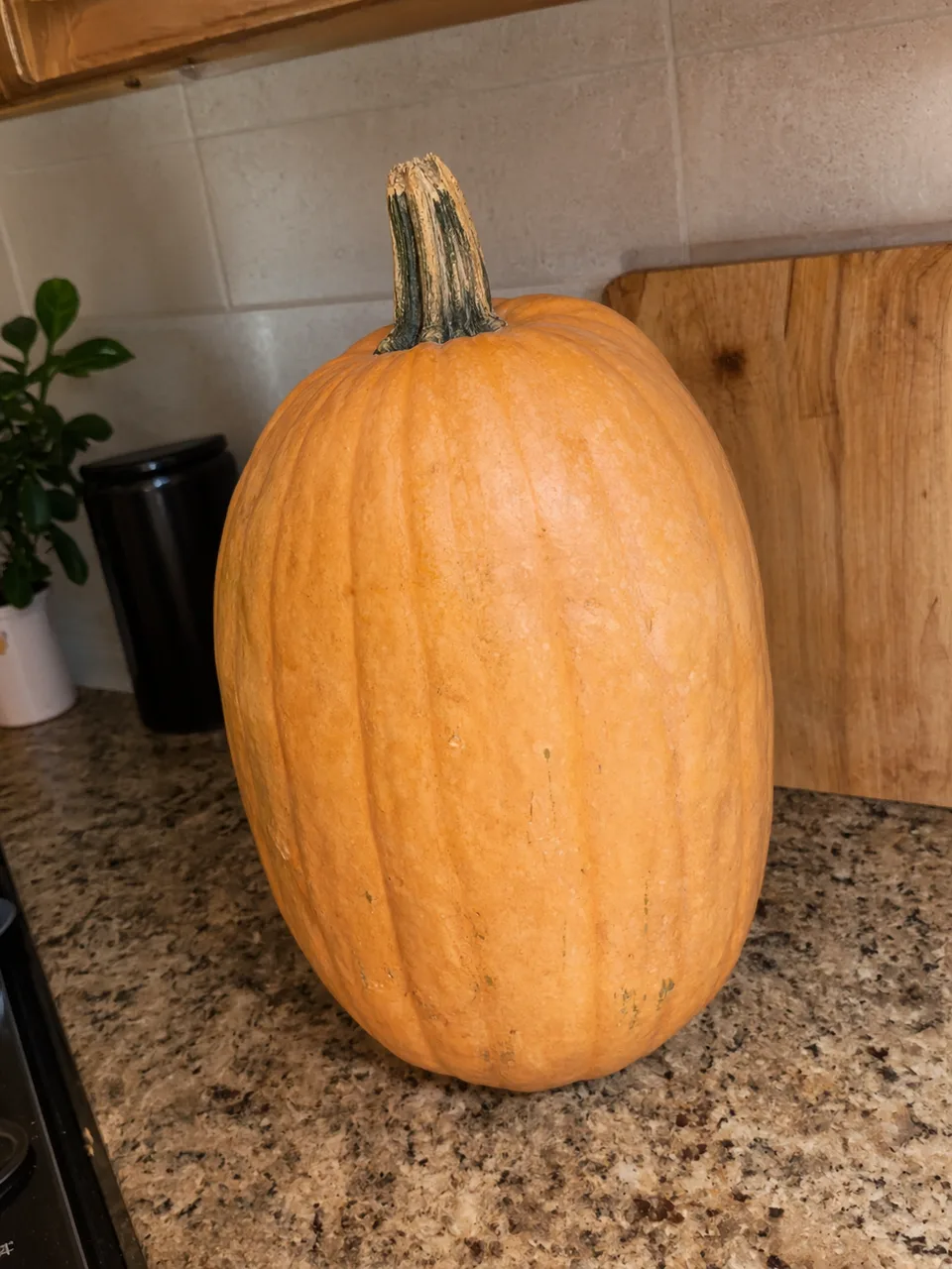 A tall uncarved pumpkin on a kitchen counter